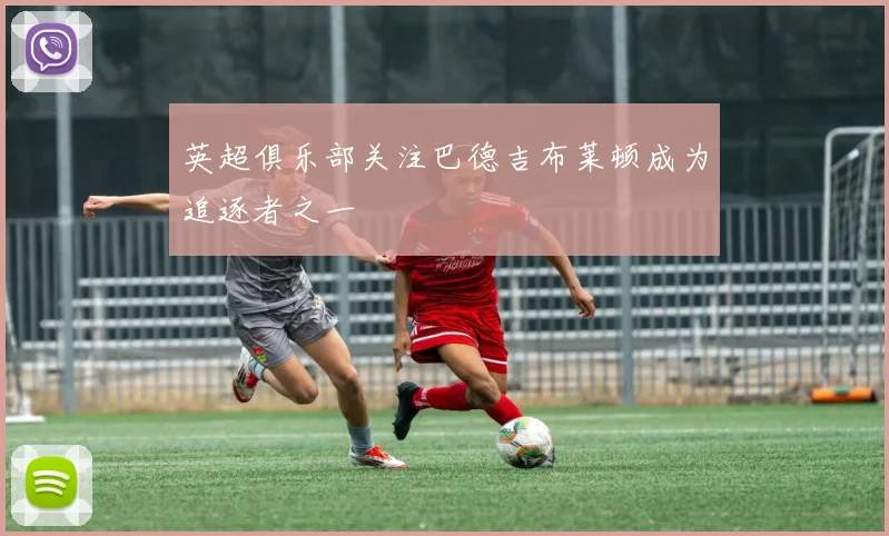 英超俱乐部关注巴德吉布莱顿成为追逐者之一