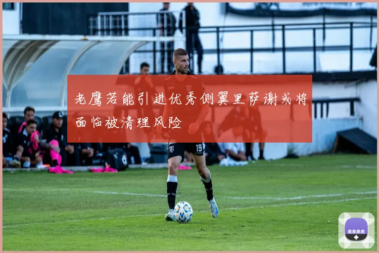 老鹰若能引进优秀侧翼里萨谢或将面临被清理风险